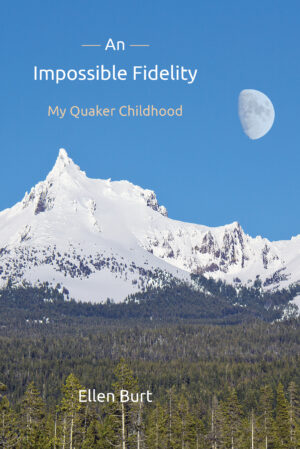 An Impossible Fidelity book cover
